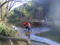 Students clean up Lycoming Creek