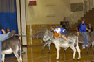 With ball in hand, student Melissa Berrier maneuvers her donkey toward the basket