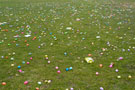 SIFE-stuffed eggs and other treats await the gathering throng