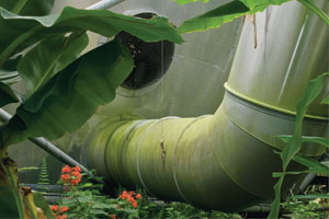 Green Ductwork, Eden Project, 2007, archival pigment print, 10 inches by 15 inches