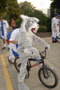 The Wildcat takes a ride, with a push from a soccer-team buddy