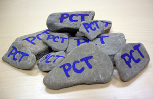 'PCT Rocks'
