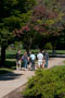 Families take a sunny stroll amid campus greenery