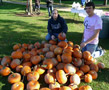 Phi Mu Delta's Steven J. Kanaley (left) and Sigma Nu's Ryan M. Enders crouch amid a pregame passel of pumpkins