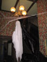 An apparition seemingly floats beneath a chandelier