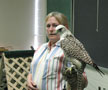 Cheri Heimbach gives students a closeup view of a gyrfalcon in the classroom ...