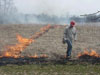 Wildlife Management student improves habitat through controlled burn
