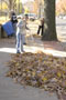 Student volunteers rake leaves along West Fourth Street