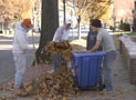 Supervisor K. Dex Tuttle (second from left) and students clear leaves from the YWCA sidewalk