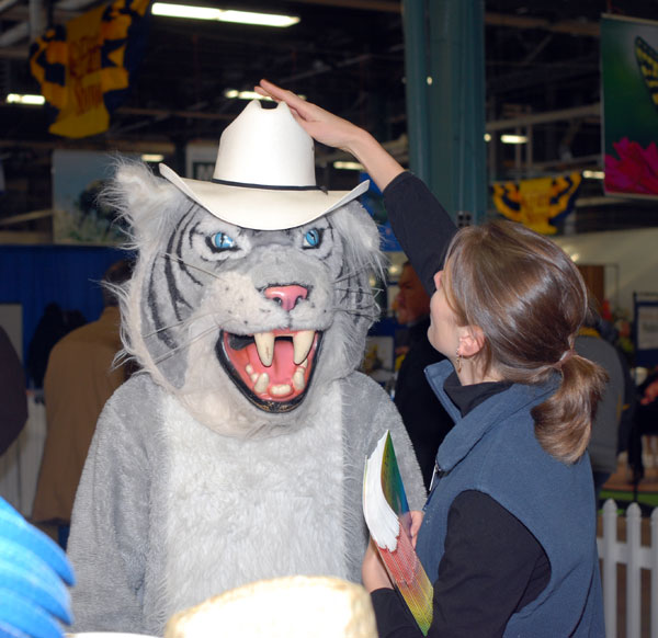 Alumni relations assistant Becky J. Shaner helps the Wildcat try on cowboy hats during a get-acquainted stroll on the Farm Show's main floor.