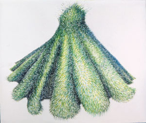 Untitled, 2004, 50 inches by 60 inches, pastel on paper
