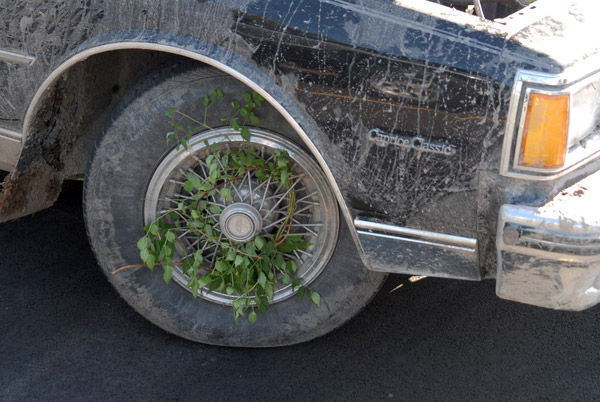 Automotive student Nate Moorman, of State College, vies for the dirtiest vehicle (and a trophy topped by a pig) with his road-weary 1984 Chevrolet Caprice.