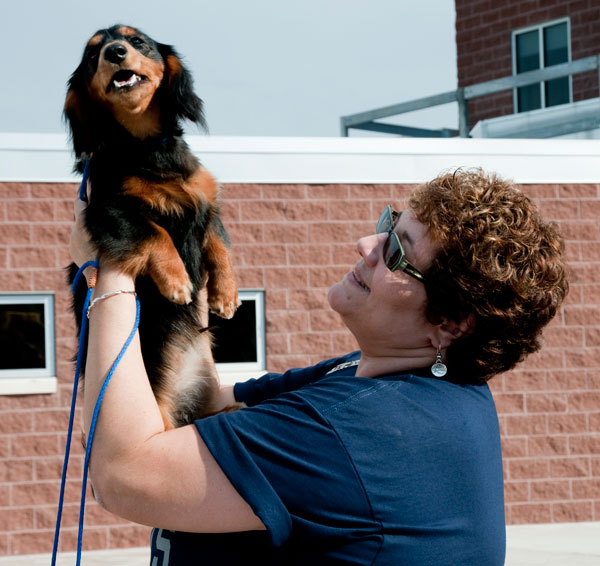 Marianne E. DePasqua, client development specialist with Workforce Development & Continuing Education, holds her miniature long-haired dachshund, Aldo.