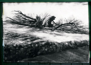 'Site %2310,' 2003, charcoal on paper, 30 x 42 inches