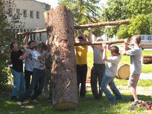 A spruce log - the artist's massive medium - is raised into position.