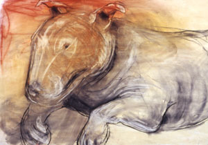 'Model Dog,' pastel and charcoal, 2005