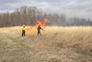Wildlife management students conduct controlled burn