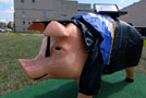 College's pig arrives at future site of downtown library children's wing