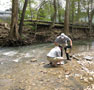 Penn College students collect organisms in Millers Run