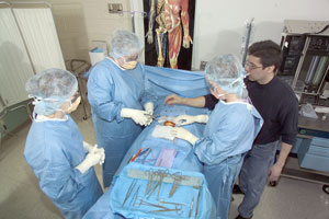 Under the instruction of Dr. Thomas J. Campana, director of surgical technology, students perform an appendectomy on a manikin