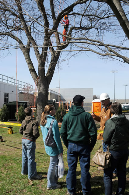 Horticulture students demonstrate tree-climbing (and trimming) in a  project on main campus.
