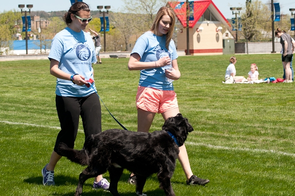 Charity walk not limited to two-legged participants