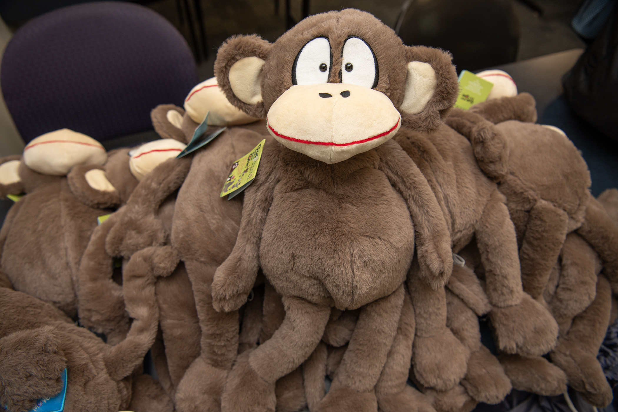 PTK pitches in on monkey movement for kids' comfort