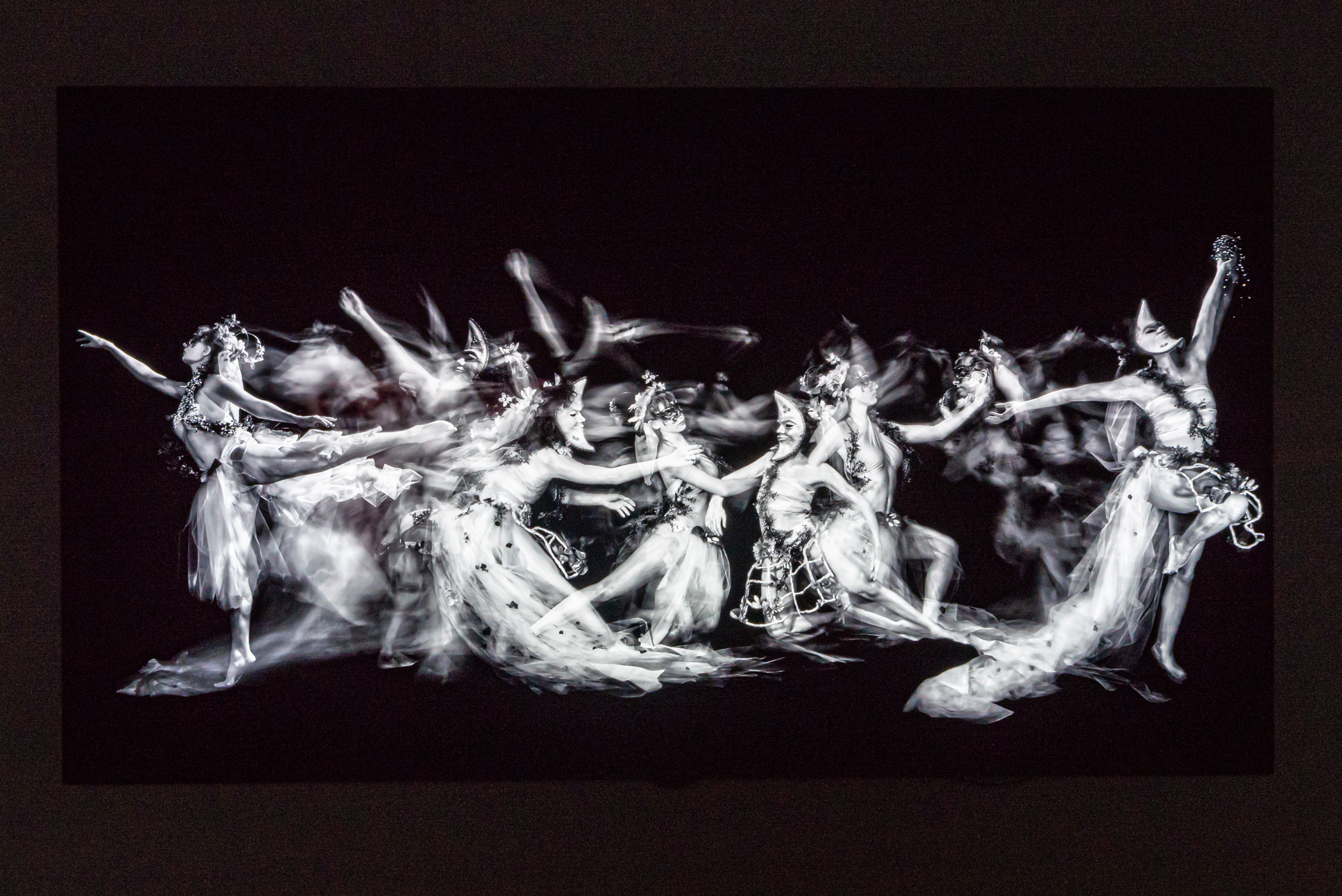 The Dance of Hades, single-panel OLED installation, photographic imagery on 5:00 video loop