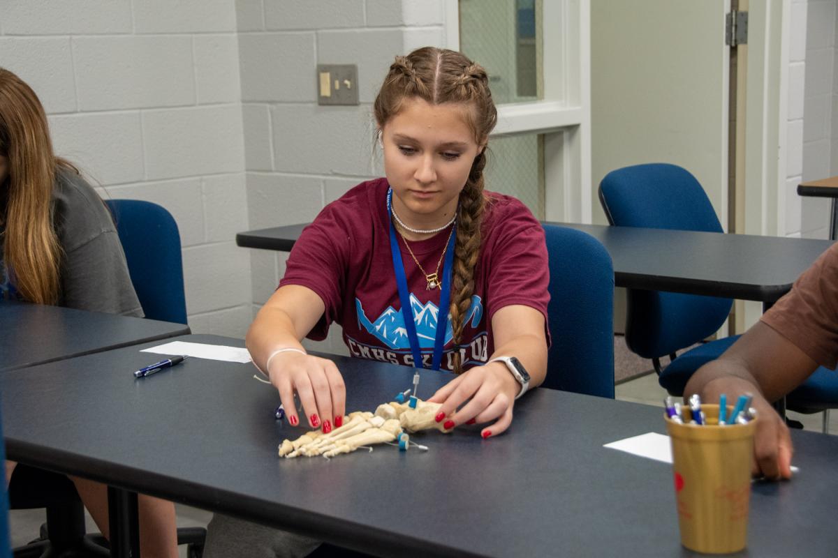 In radiography, a camper gets a feel for the bones of the feet.
