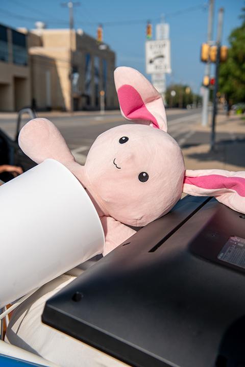 ... including this creature comfort! 