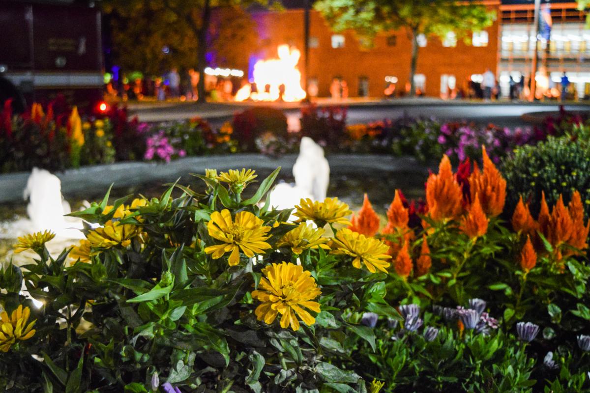 Autumn's eve finds all the ingredients in place for a celebration.