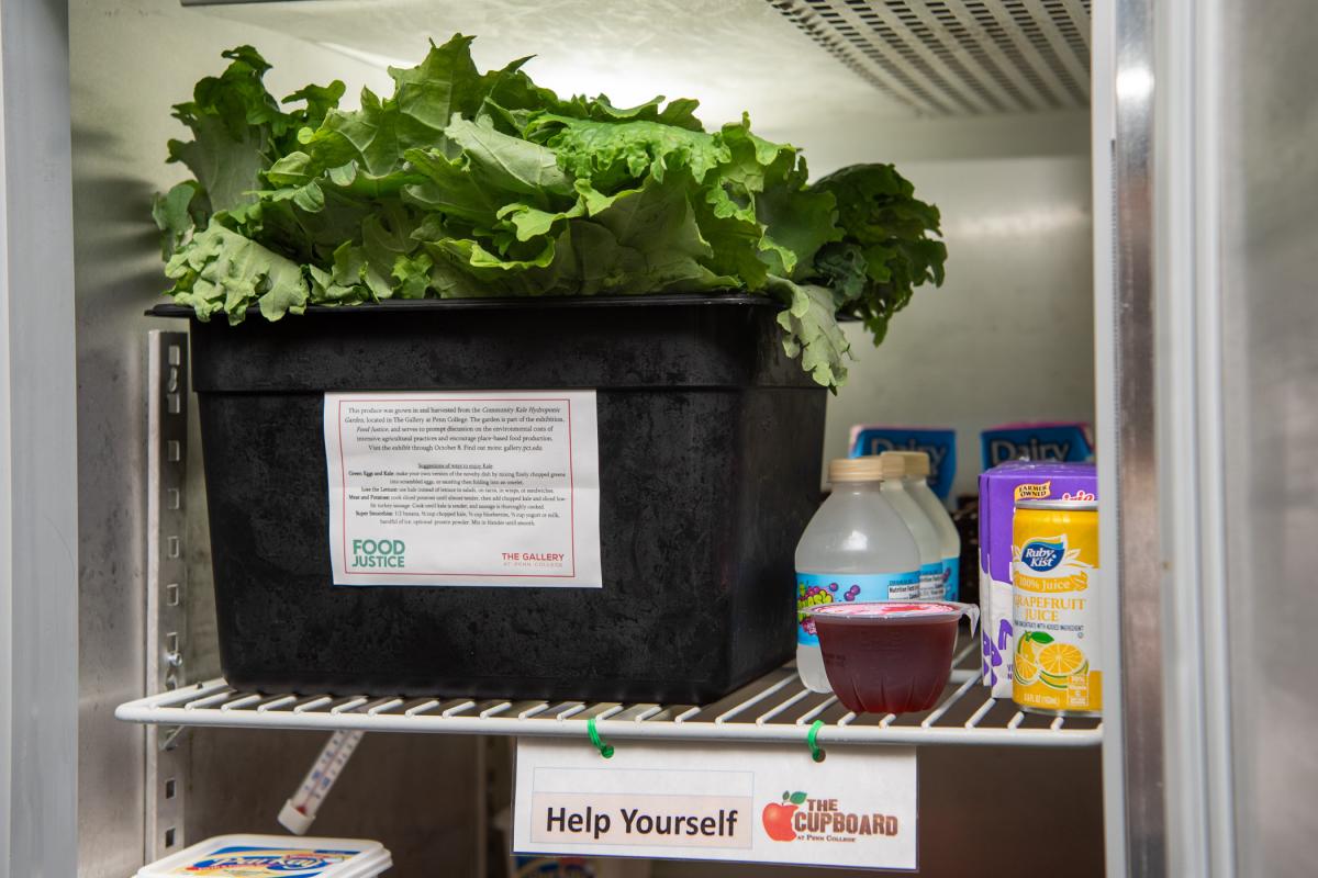 The kale is placed in a tub of water and stored in a refrigerator in The Cupboard, the food pantry for Penn College students.