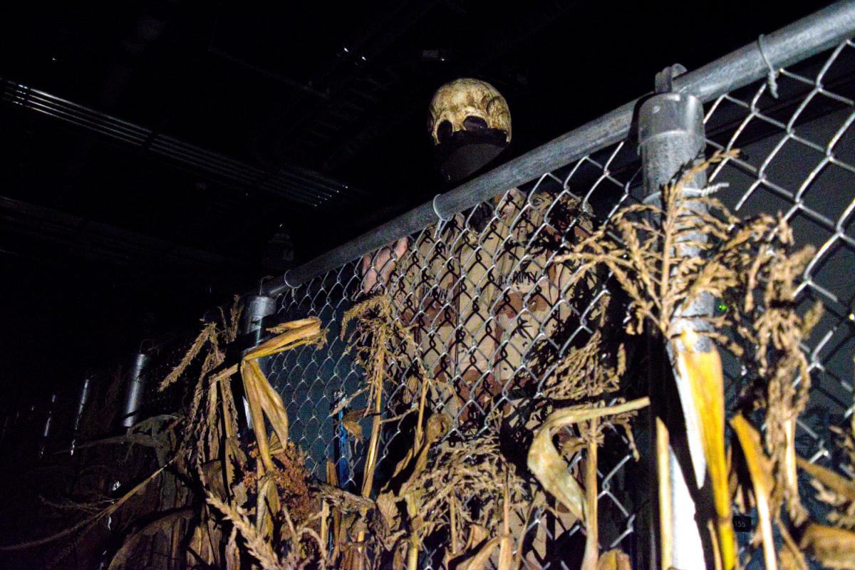 Peekaboo, we see you. And we're not so sure we want to see you again anytime soon!