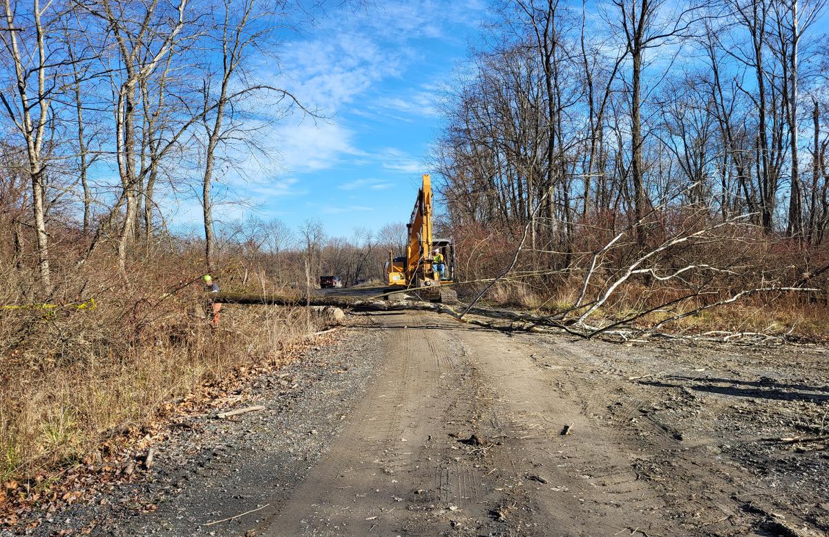 No sooner than the tree hit the ground, Keister was there to move it aside.