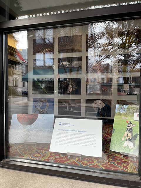 ... with two more showcased at sidewalk level, providing some "doggies in the window" playfulness for West Fourth Street passersby.