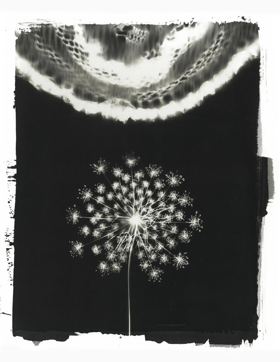 A black and white abstract photo