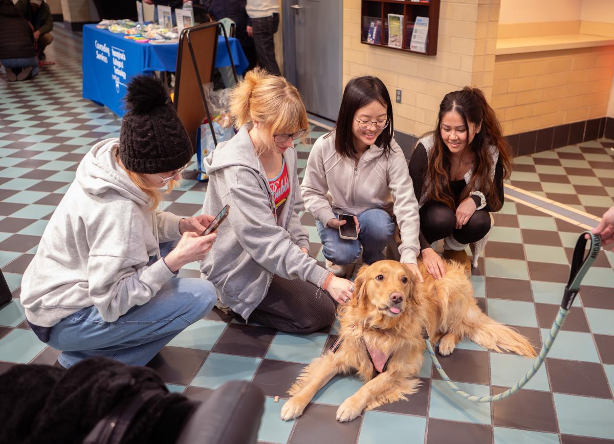 Several people crouch on a tiled floor, petting a golden retriever that is lying down and looking toward the camera.