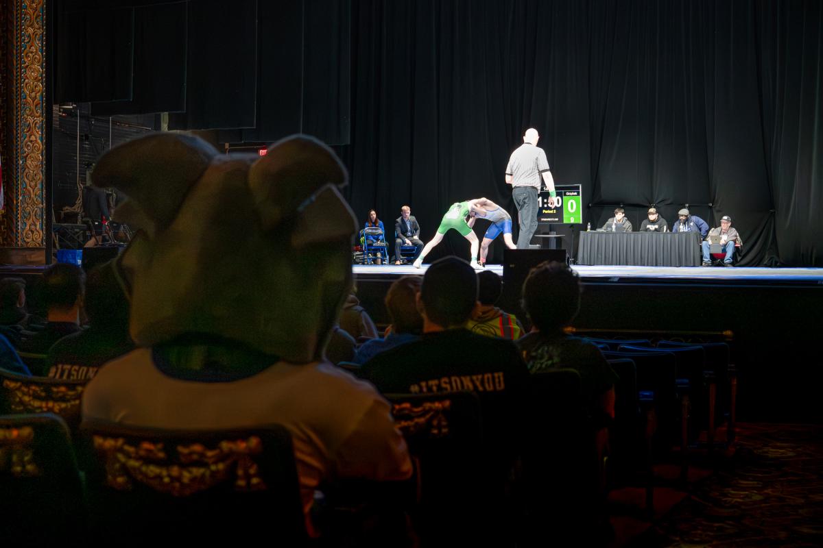 A costumed wildcat mascot watches a wrestling match from the audience as competitors grapple on the mat under bright lights.