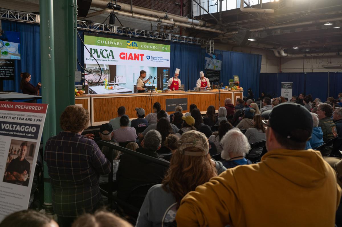 Wide view of a culinary stage with chefs cooking while an audience watches.