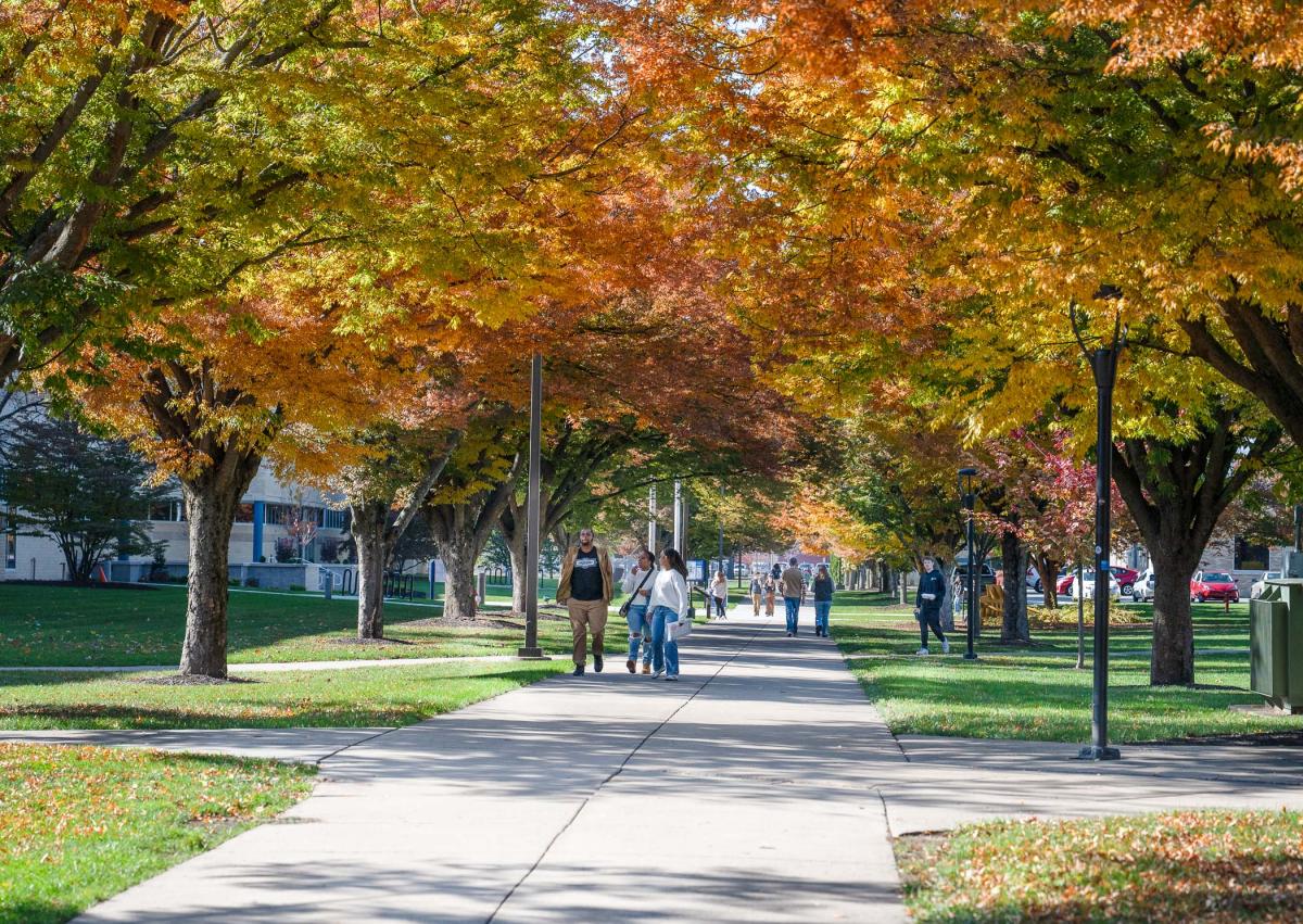 Families walk along tree-lined walkways in the middle of Main Campus.