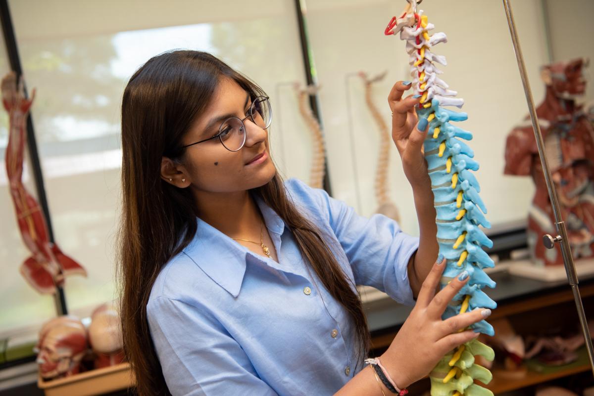 Student examining a model of the human spine in an anatomy lab.
