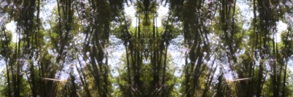 Monzen, 2018, two–channel video projection