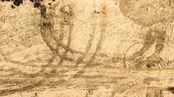 Dirt Tracks
