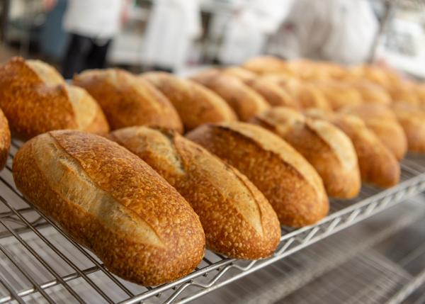 Baking & Pastry Arts