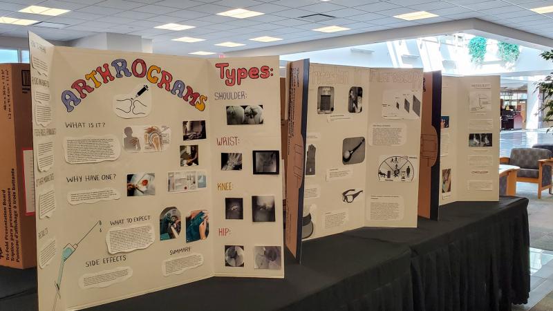The six research posters represent the culmination of two months' work by students.