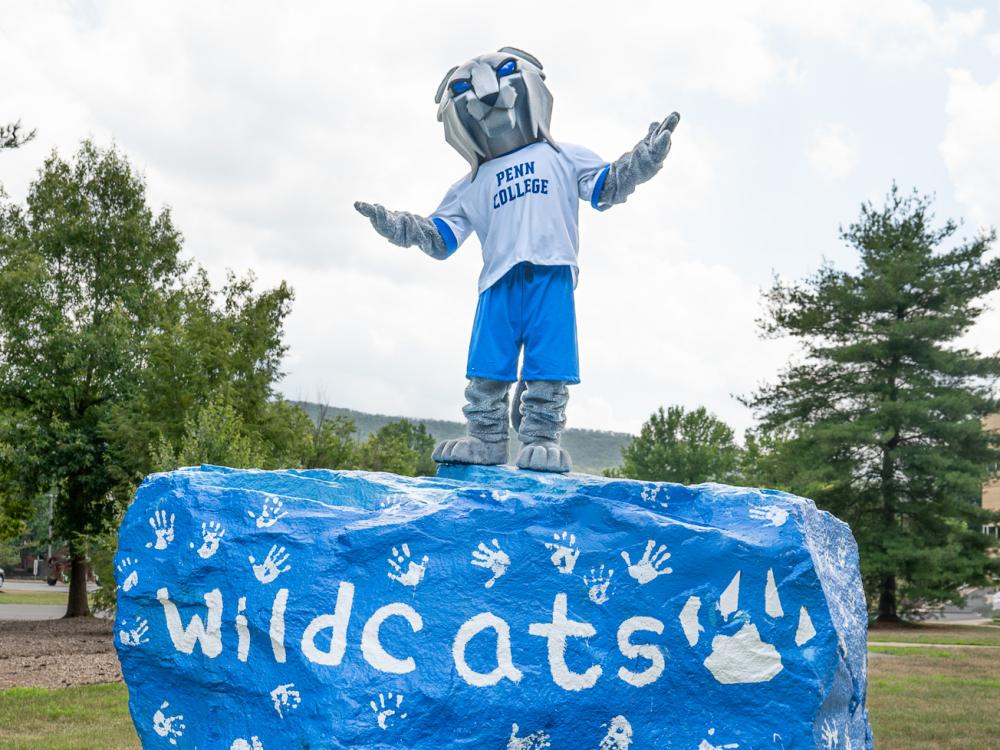 Mascot Wildcat on the rock