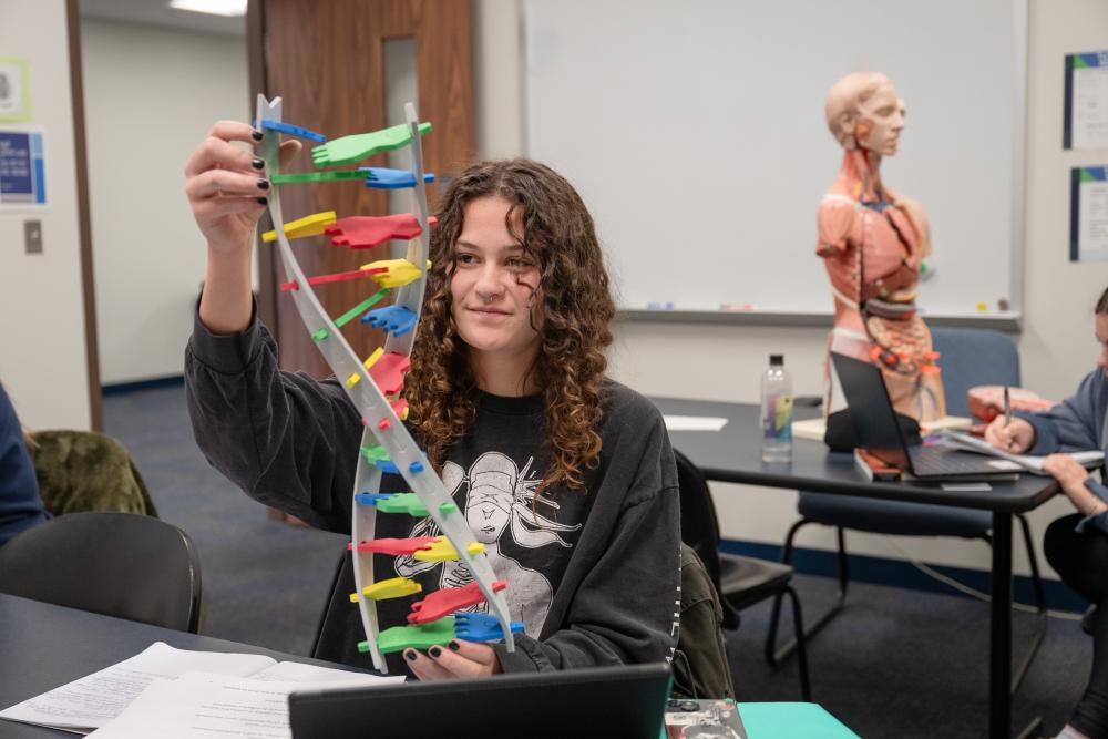 Student building a DNA model
