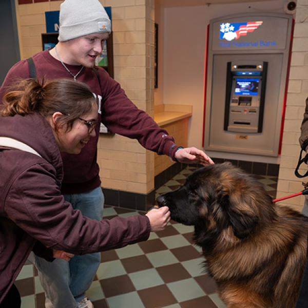 Two people in a hallway pet a large brown dog that is standing near an ATM machine.