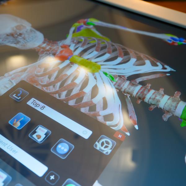 Close-up of the Anatomage Table's screen, showing the skeletal system.