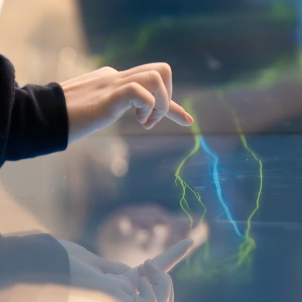 Close-up of the Anatomage Table's screen. A student taps on a nerve.